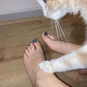 Totallyspiesfoot's media