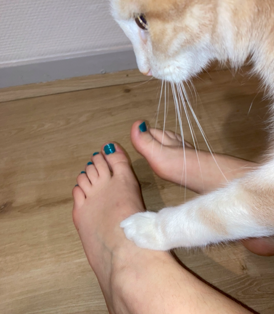 Totallyspiesfoot's media