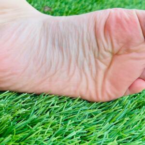 Tramp-of-feet's media