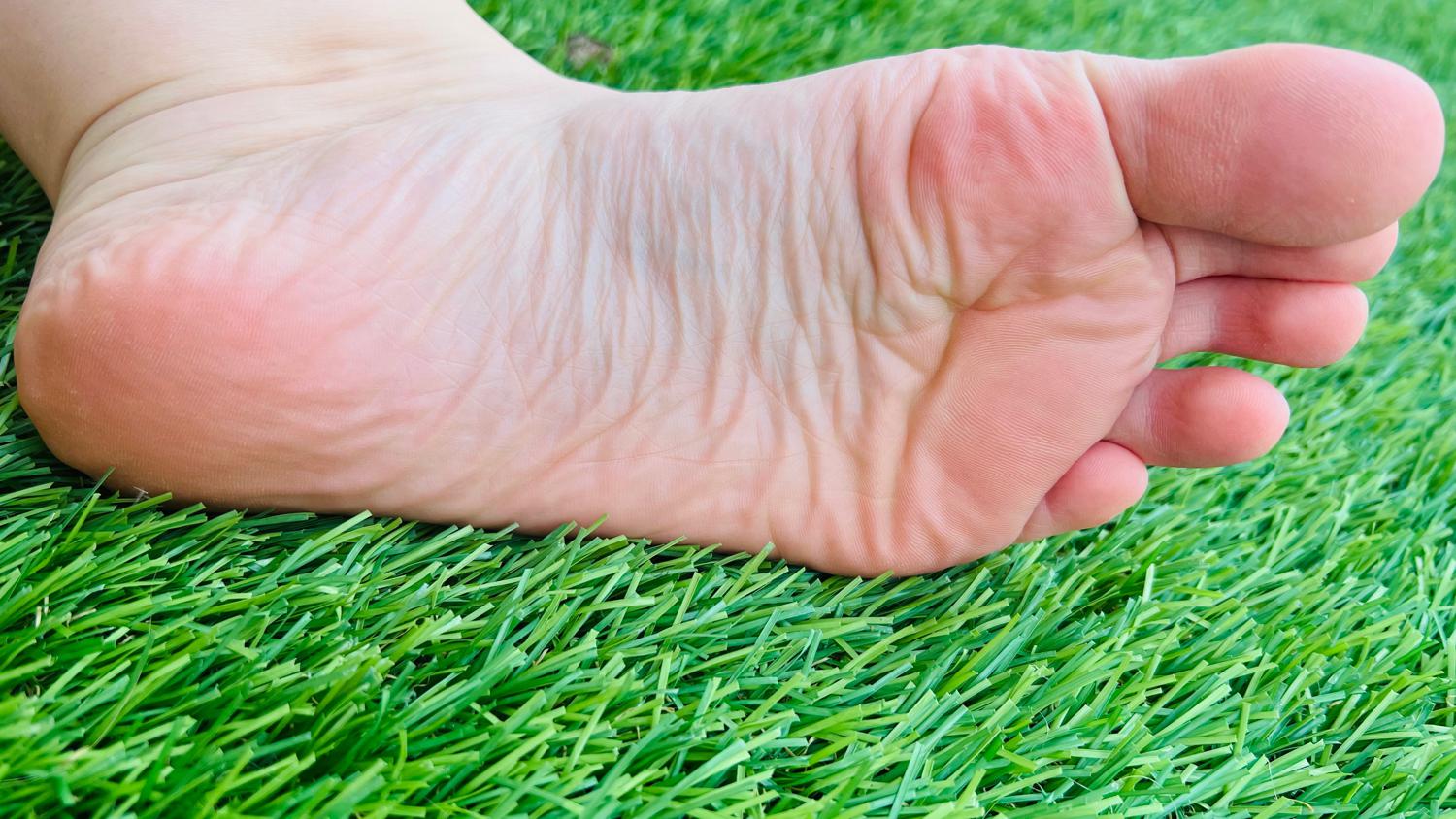 Tramp-of-feet's media