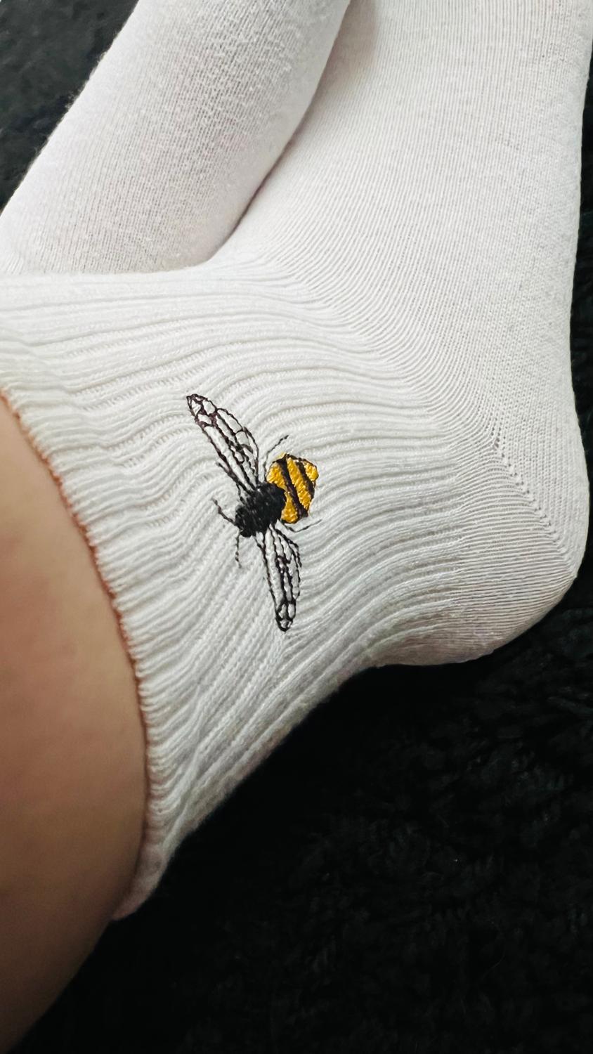 Tramp-of-feet's media