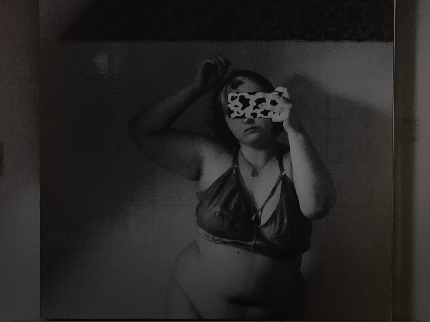 Tulipe__'s media