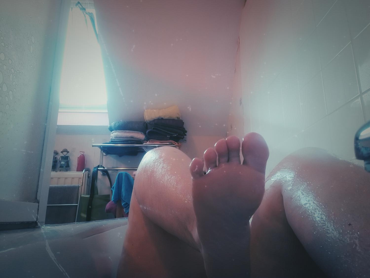Tulipe__'s media