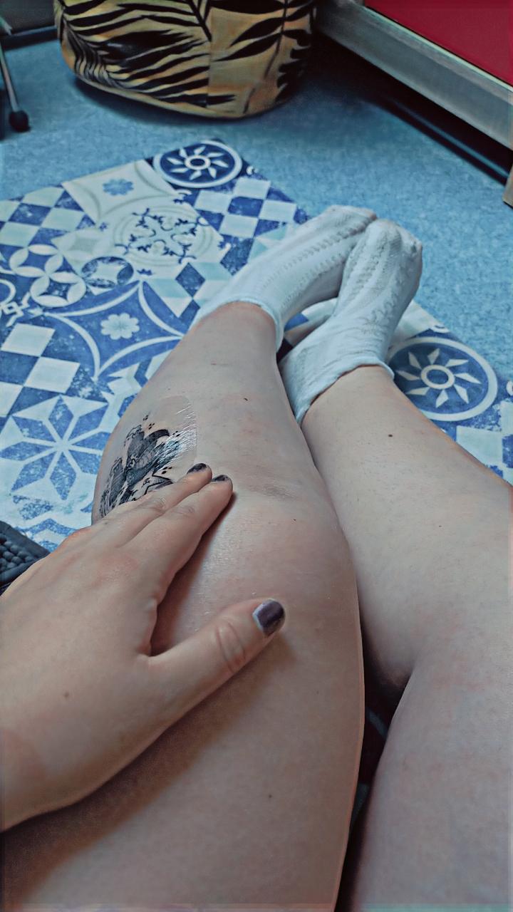 Tulipe__'s media