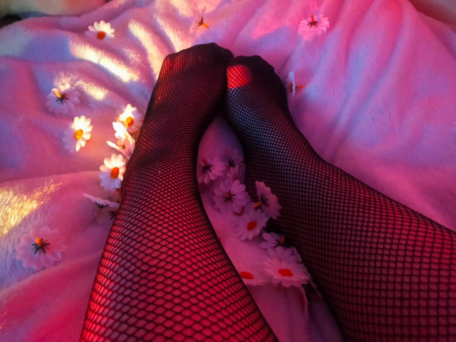 Tulipe__'s media