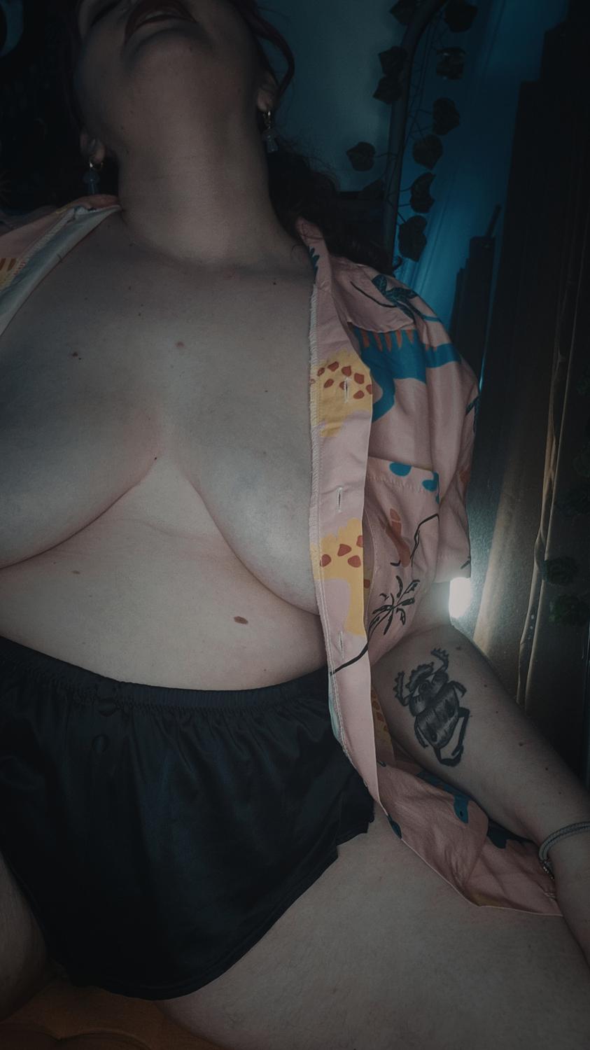 Tulipe__'s media