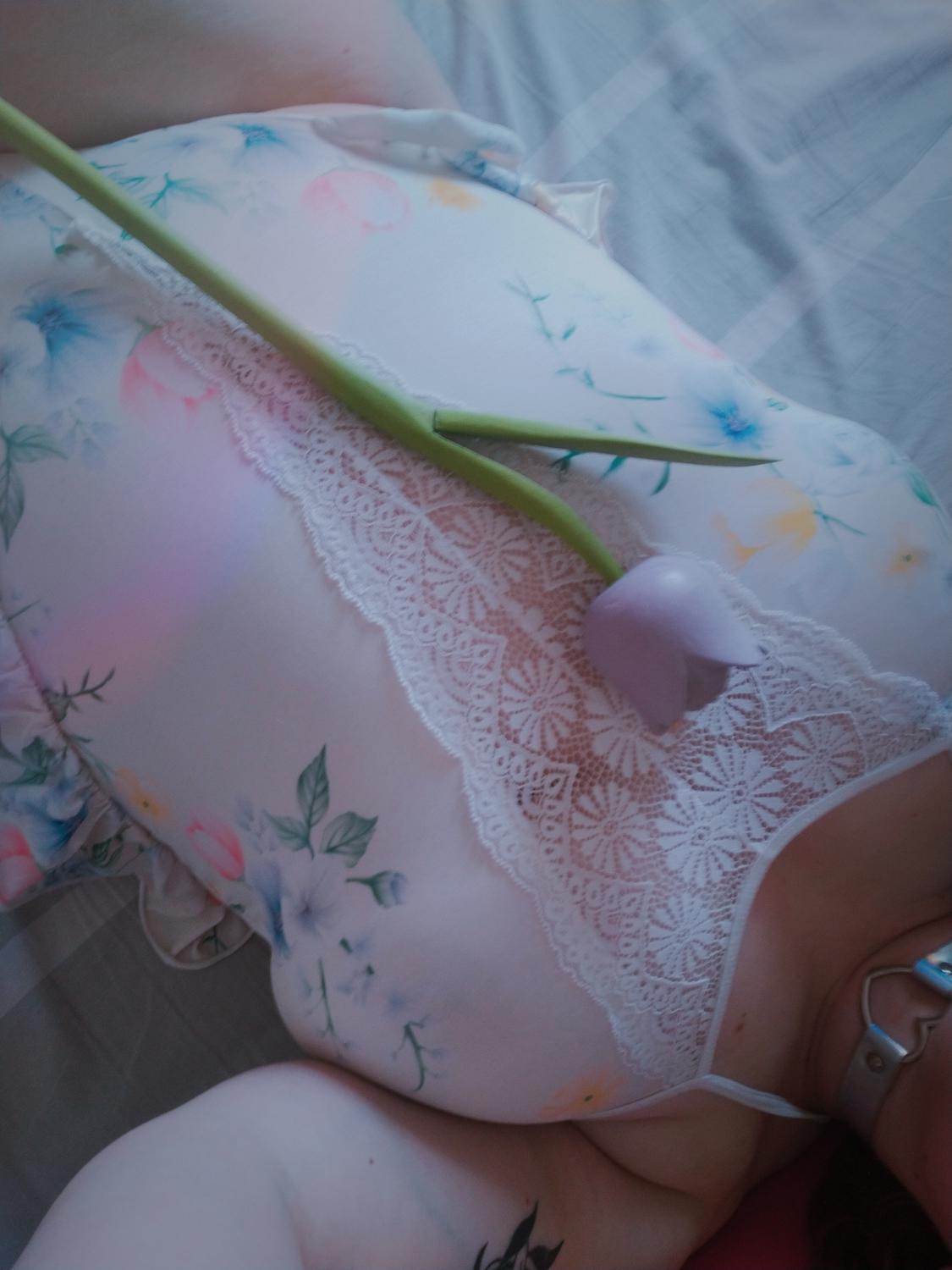 Tulipe__'s media