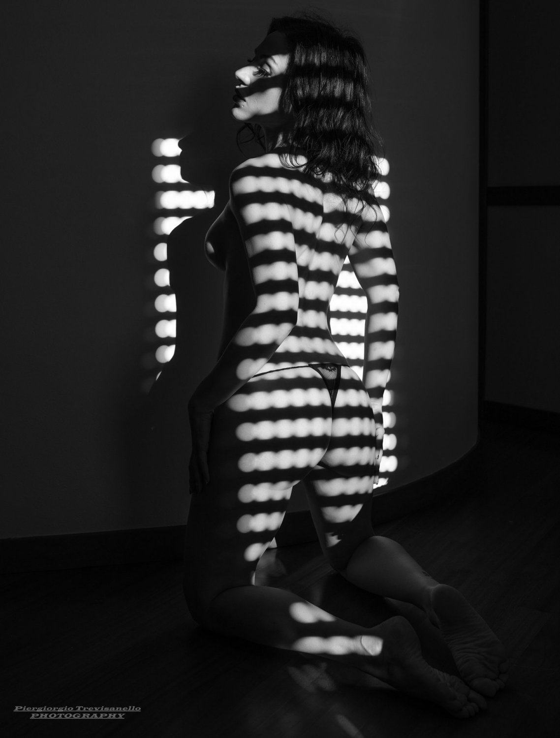 Vivimodel's media