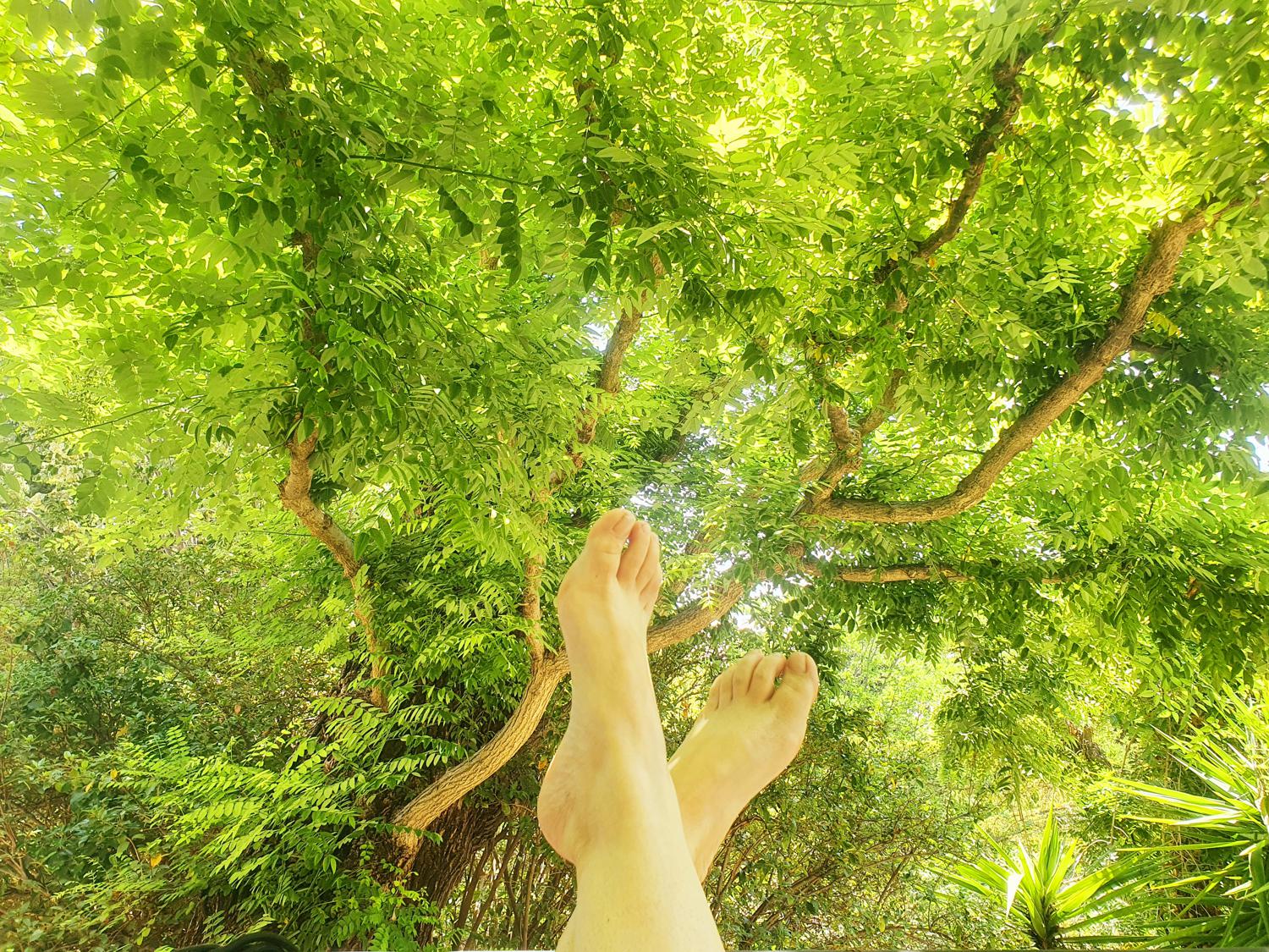 Wildfeetgirl's media