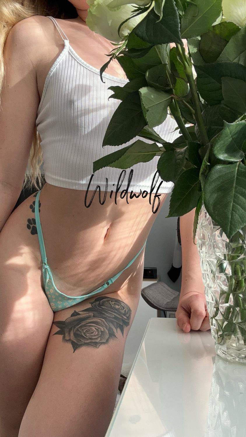 Wildwolf_'s media