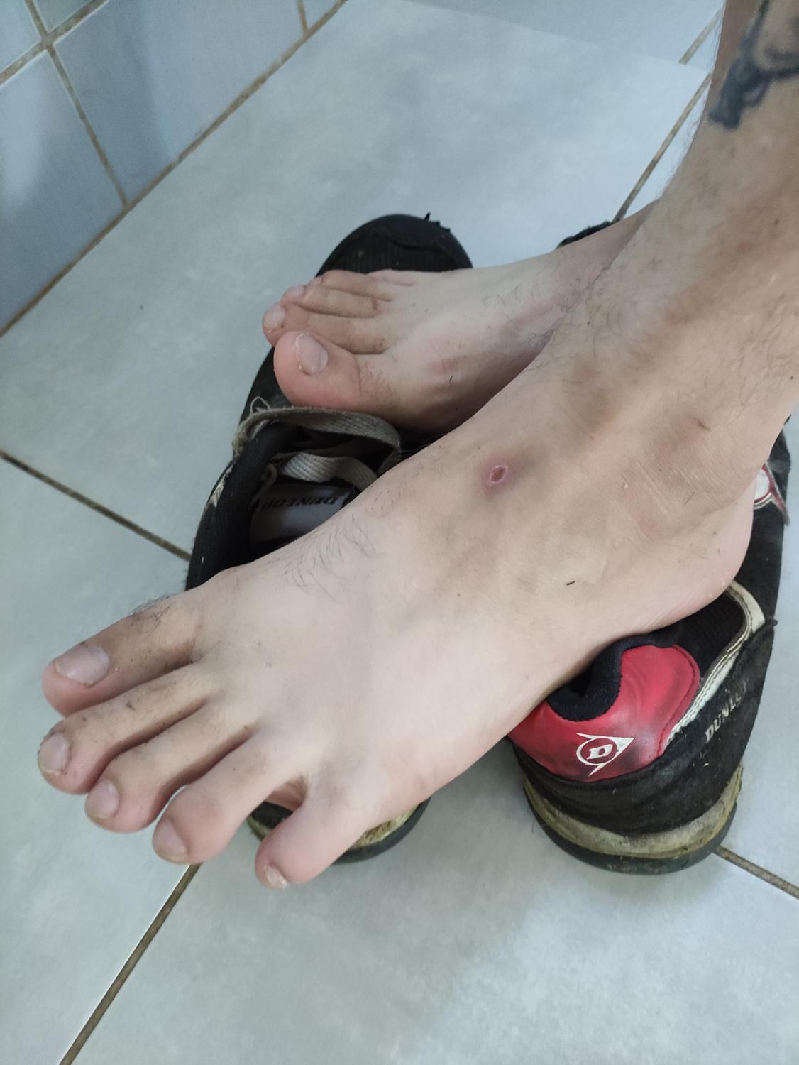 Workerfeet's media