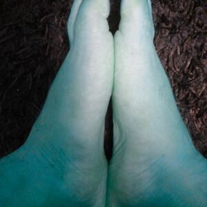 Zeddfeet's media