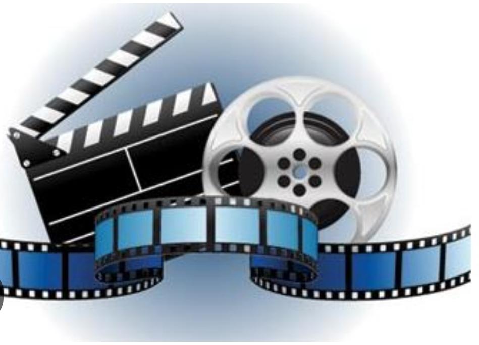 Zoollecineaste's media