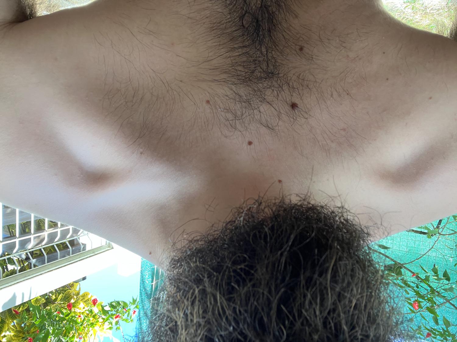 Zouip17's media