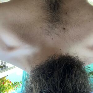 Zouip17's media